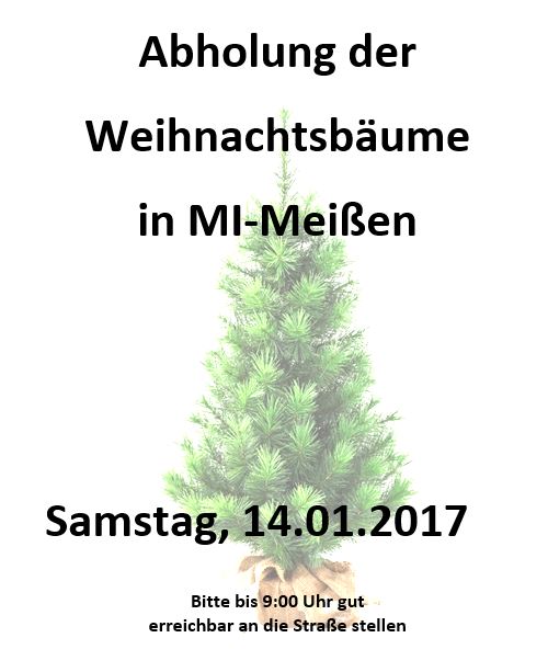 Weihnachtsbaumsammlung 2017