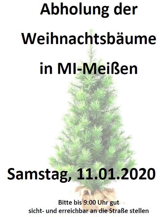 Weihnachtsbaumsammlung 2020