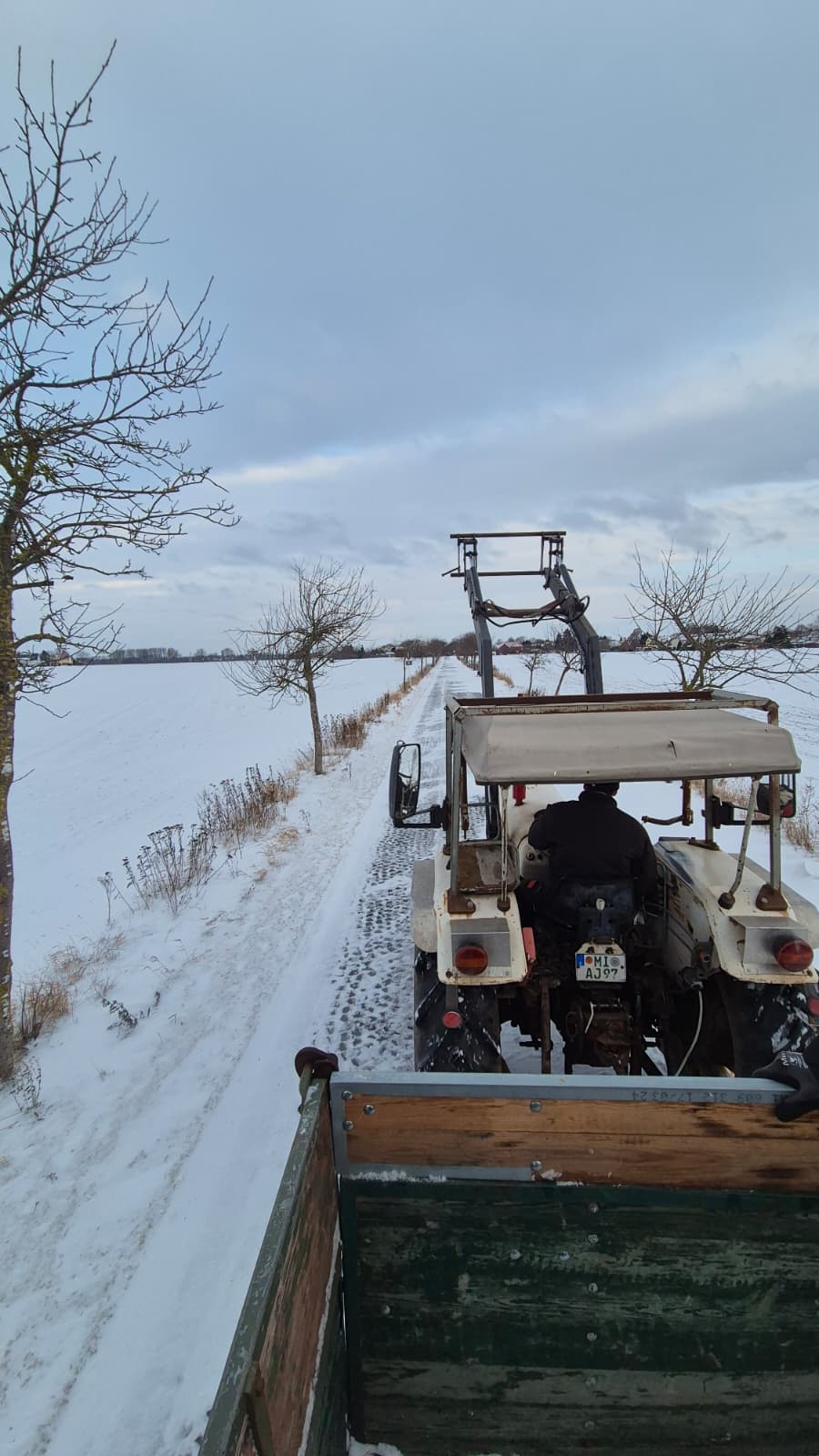 Weihnachtsbaumsammlung 2026 4